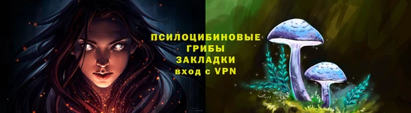 гашик Бугульма