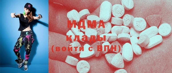 spice Бородино