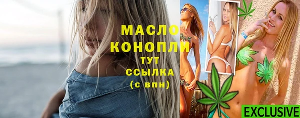 spice Бородино
